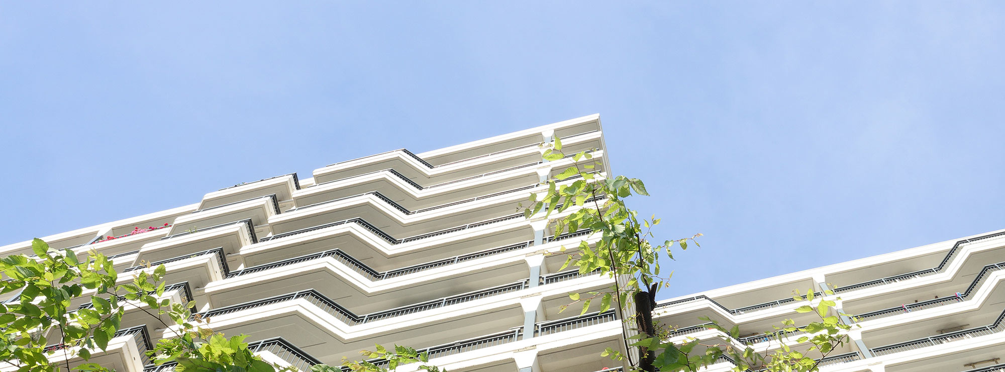 エンゼルコミュニティの強みイメージ画像