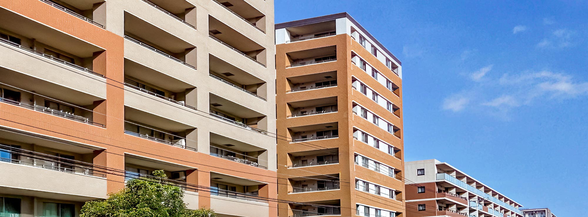 お知らせ/会社概要イメージ画像